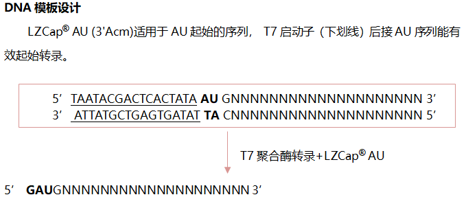 300302.png