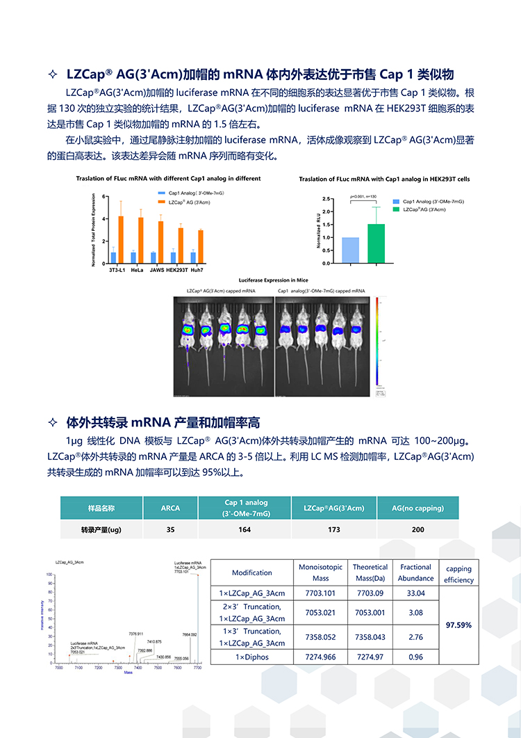 中文版-自主研发LZCap?共转录加帽产品助力mRNA产业20230720V12_3.jpg